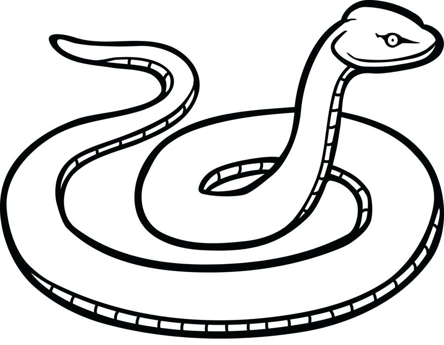 Snake Drawing Step By Step | Free download on ClipArtMag