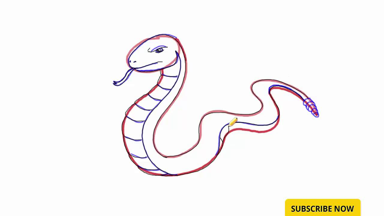 snake-drawing-step-by-step-free-download-on-clipartmag