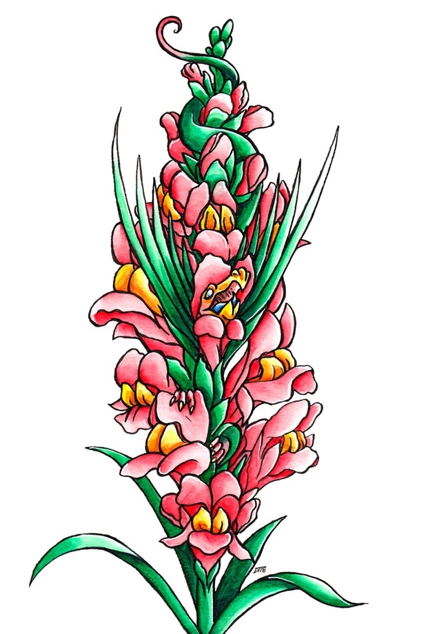 Snapdragon Flower Drawing Free download on ClipArtMag