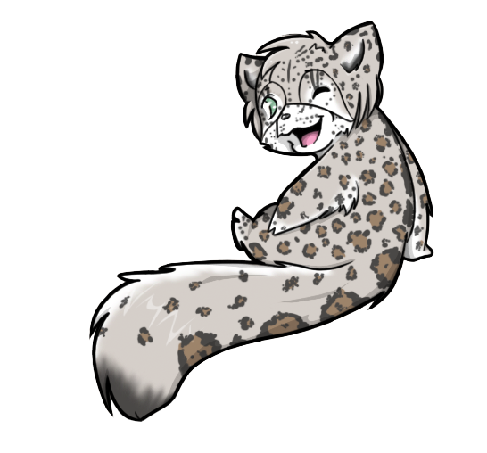 Snow Leopard Drawing | Free download on ClipArtMag