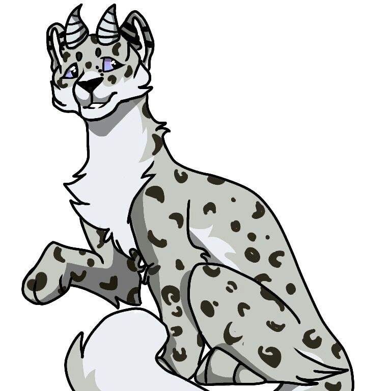 Snow Leopard Drawing | Free download on ClipArtMag