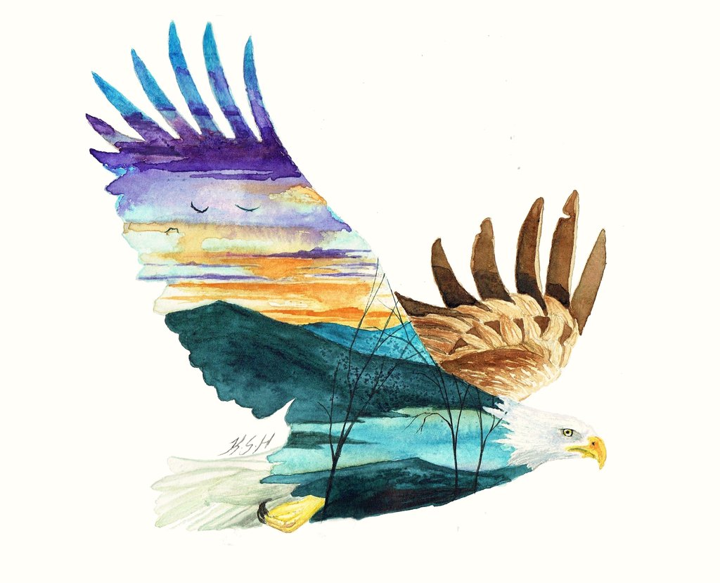 Soaring Eagle Drawing | Free download on ClipArtMag