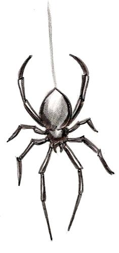 Spider Drawing Easy | Free download on ClipArtMag