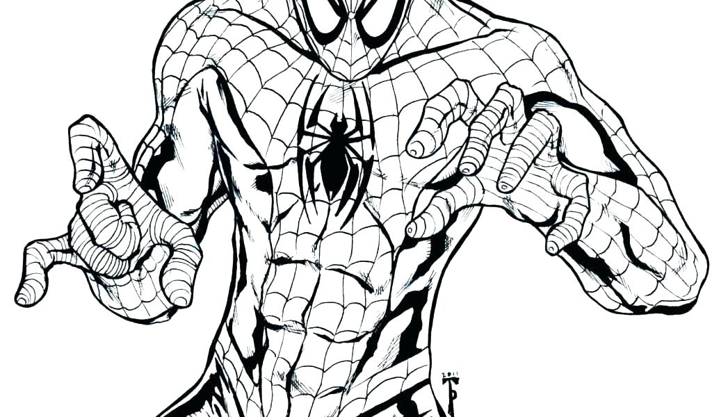 Spiderman Drawing Color | Free download on ClipArtMag