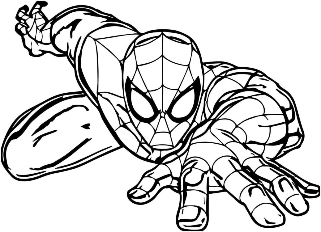 ausmalbilder spiderman