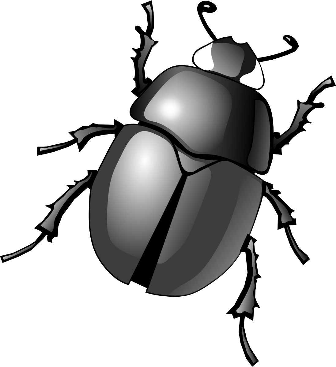 Stag Beetle Drawing Free download on ClipArtMag