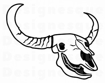 Steer Skull Drawing | Free download on ClipArtMag