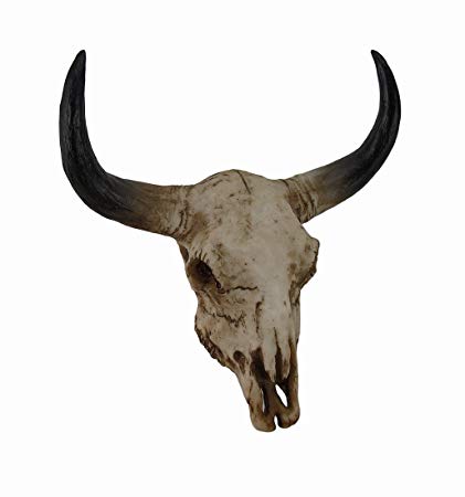 Steer Skull Drawing | Free download on ClipArtMag