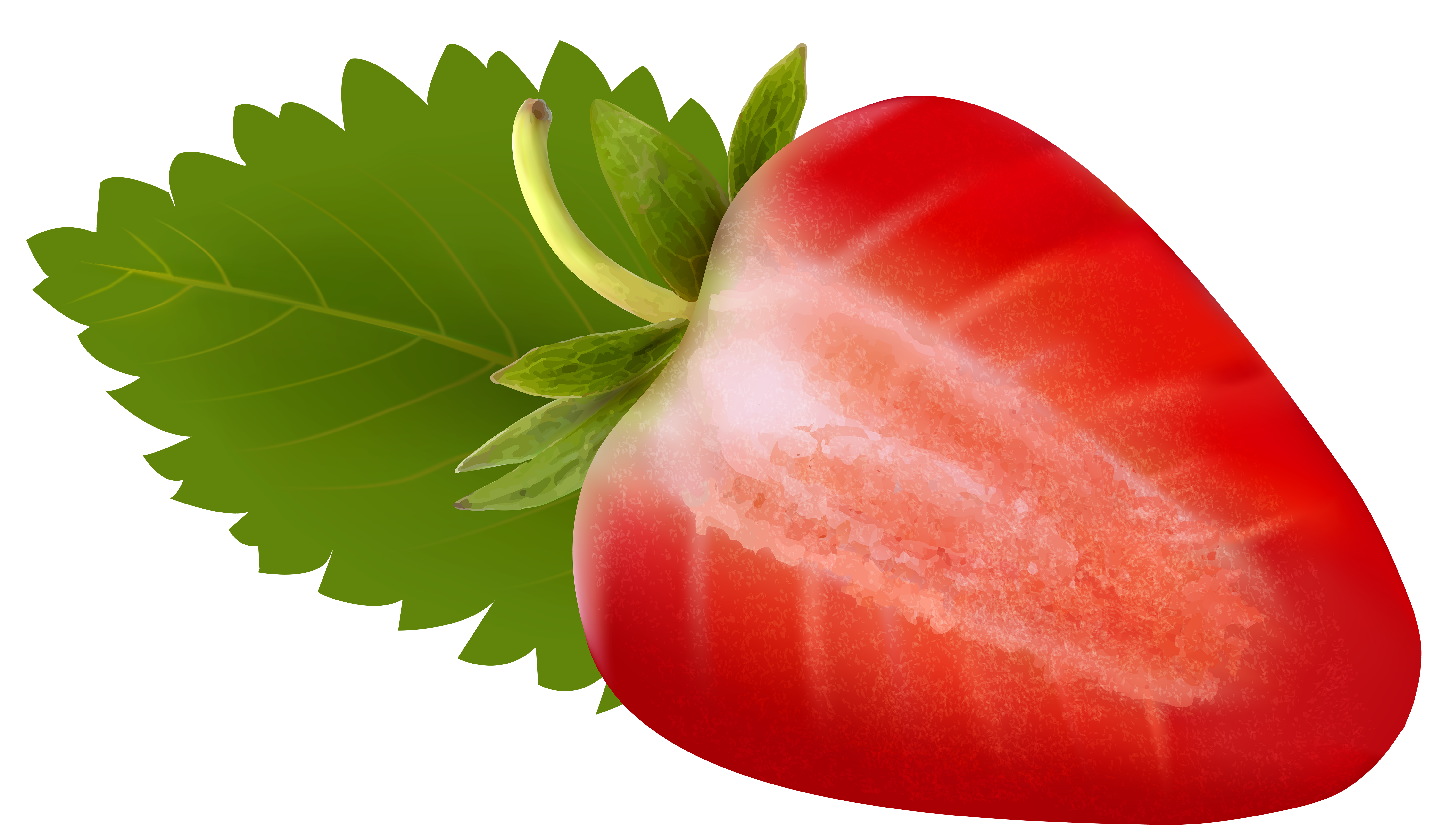 Strawberry Pencil Drawing Free download on ClipArtMag