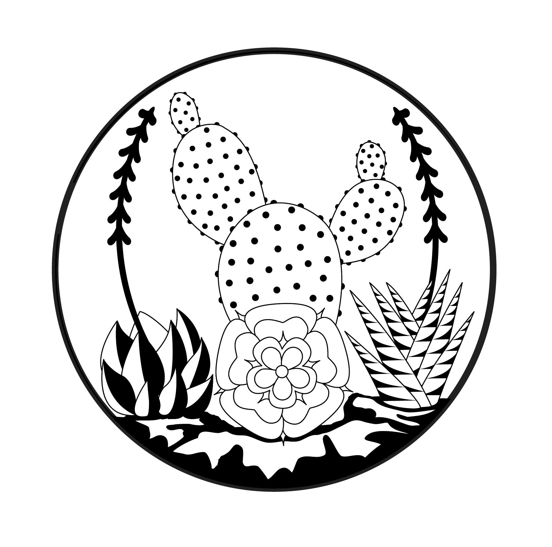 Succulent Line Drawing | Free download on ClipArtMag