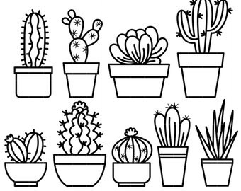 Succulent Plant Drawing | Free download on ClipArtMag