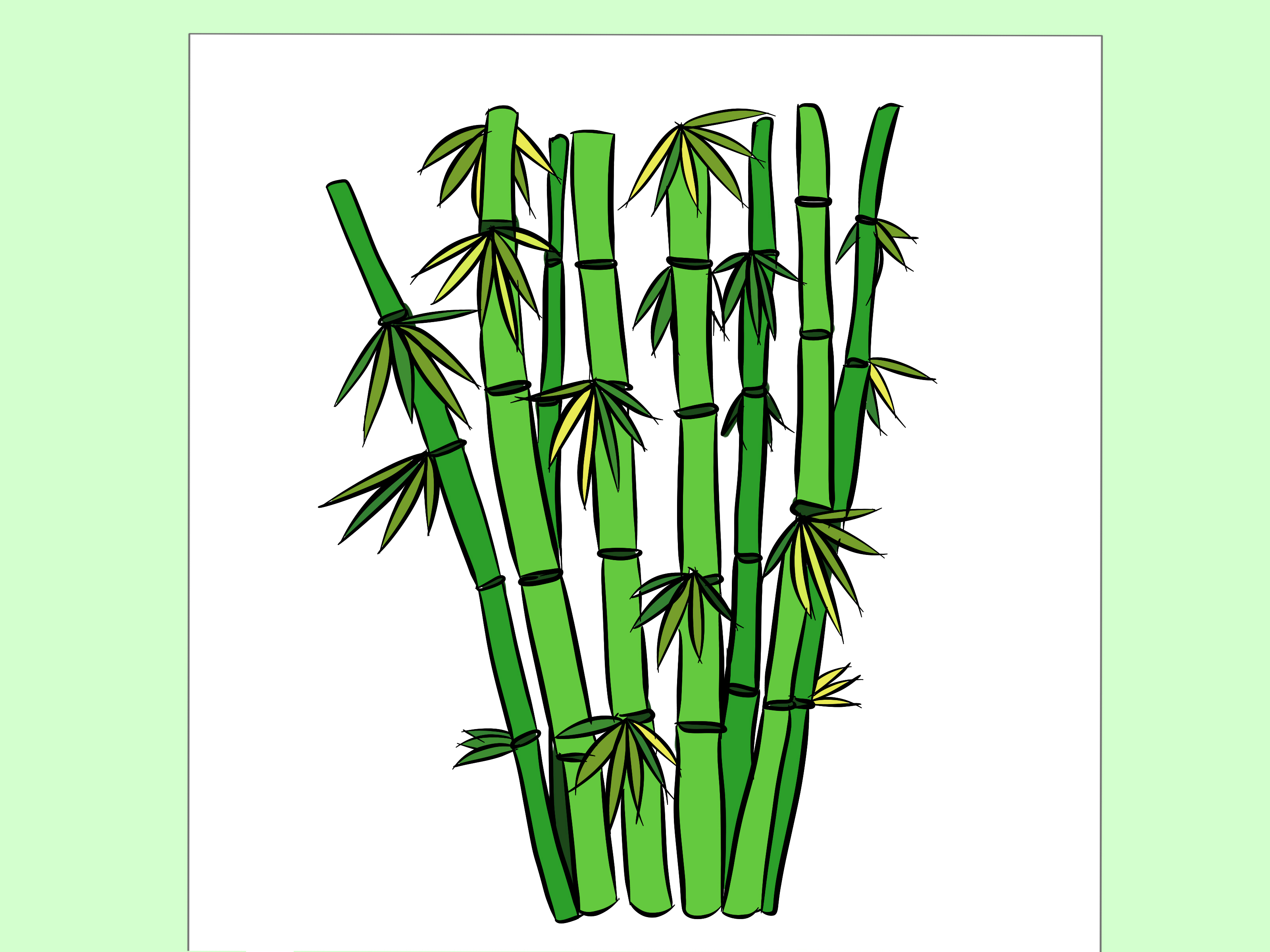 Sugarcane Drawing | Free download on ClipArtMag