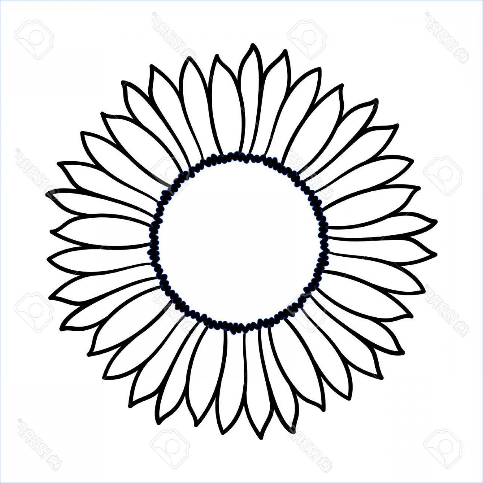 Download Sunflower Black And White Drawing | Free download on ...