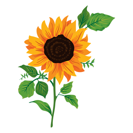 Download Sunflower Drawing Simple | Free download on ClipArtMag