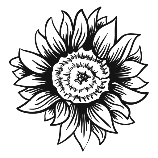 Download Sunflower Outline Drawing | Free download on ClipArtMag