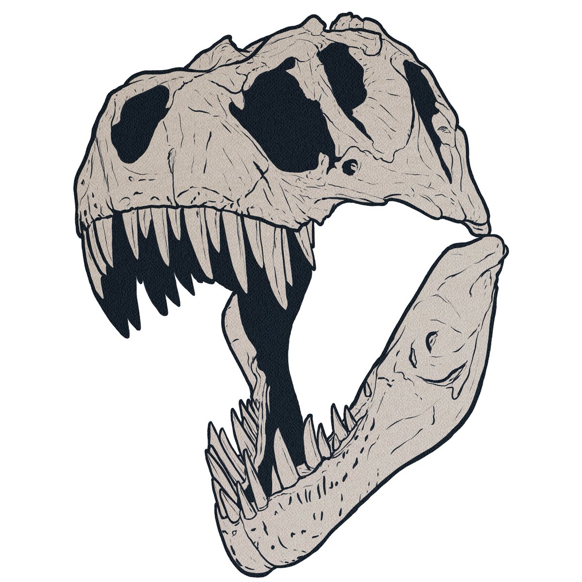 T Rex Skull Drawing Free download on ClipArtMag