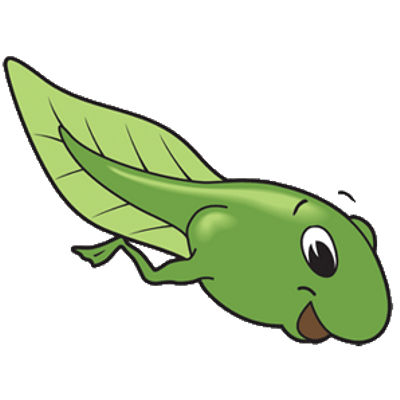 Tadpole Drawing | Free download on ClipArtMag