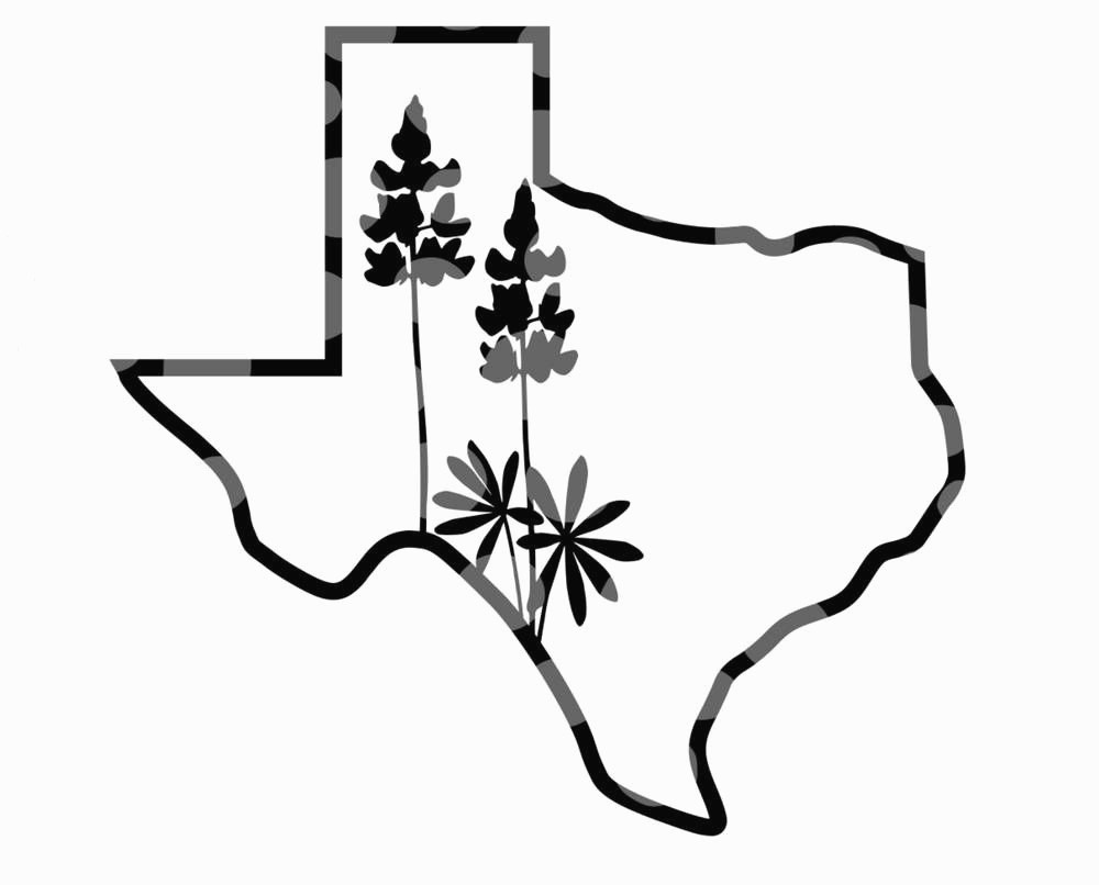 Texas Flag Drawing Free download on ClipArtMag