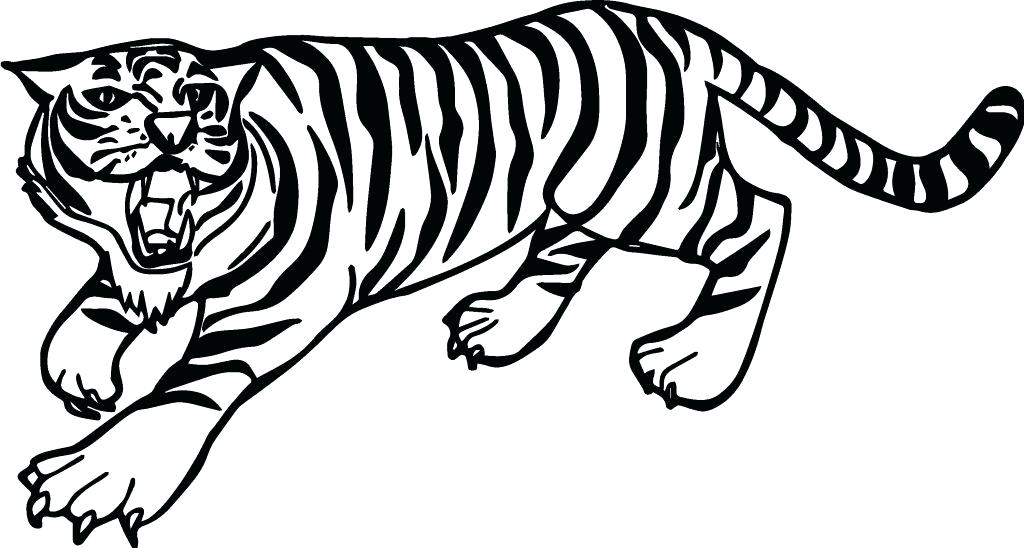 Tiger Drawing Easy | Free download on ClipArtMag