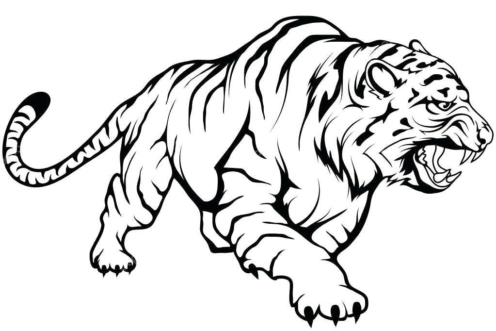 Tiger Drawing Easy | Free download on ClipArtMag