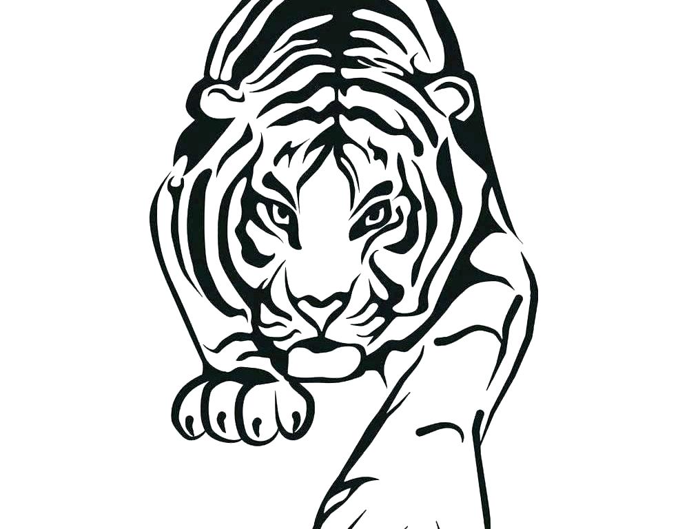 Tiger Drawing For Kids | Free download on ClipArtMag