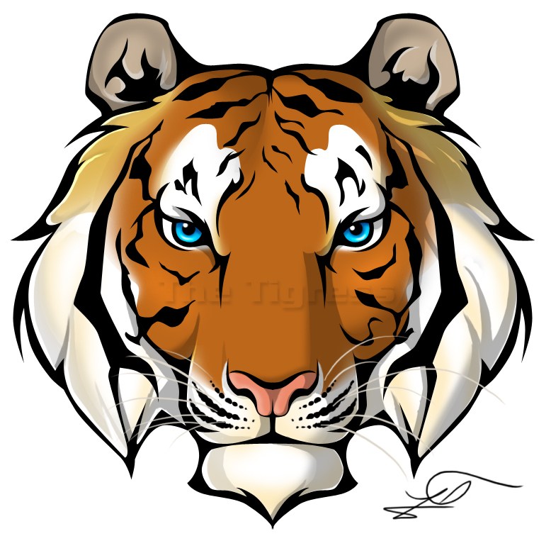 Tiger Face Drawing Pencil | Free download on ClipArtMag