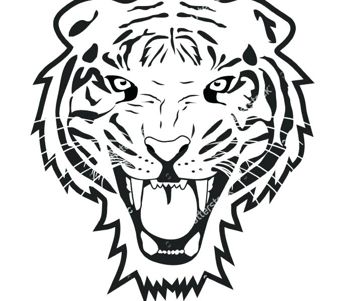 Tiger Head Drawing Easy | Free download on ClipArtMag