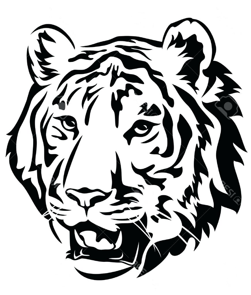 Tiger Head Line Drawing | Free download on ClipArtMag