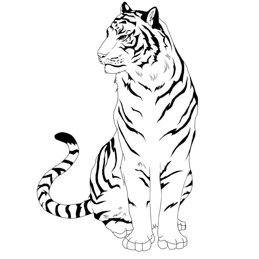 Tiger Line Drawing | Free download on ClipArtMag