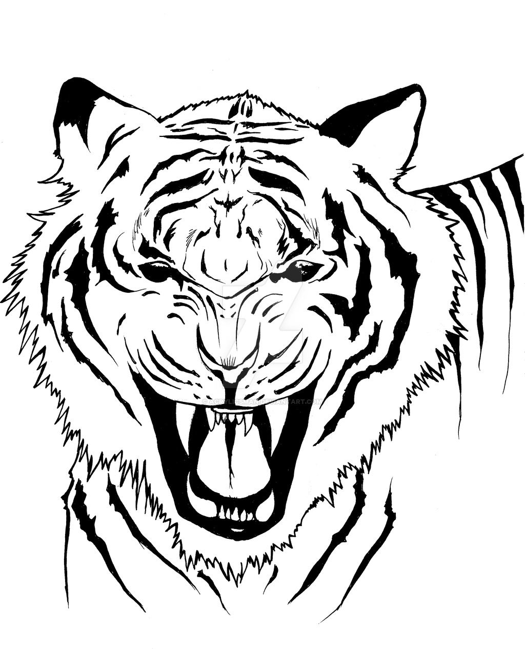 Tiger Line Drawing | Free download on ClipArtMag