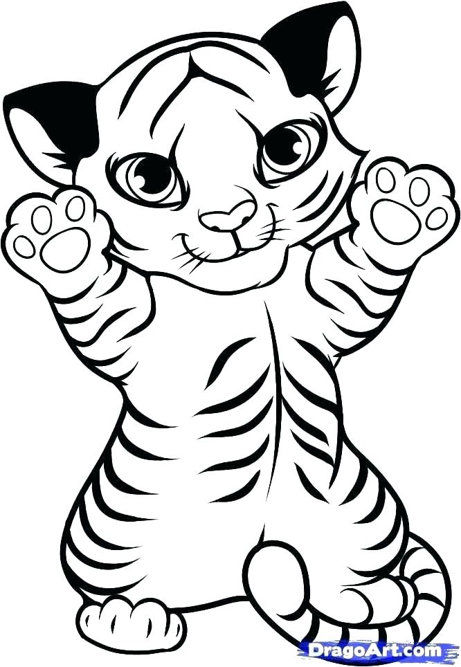 Tiger Line Drawing | Free download on ClipArtMag