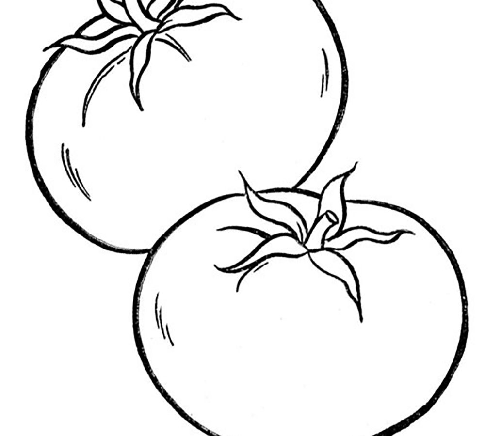 Tomato Plant Drawing | Free download on ClipArtMag