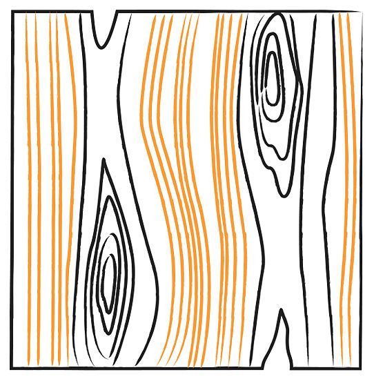 Tree Bark Drawing Free download on ClipArtMag