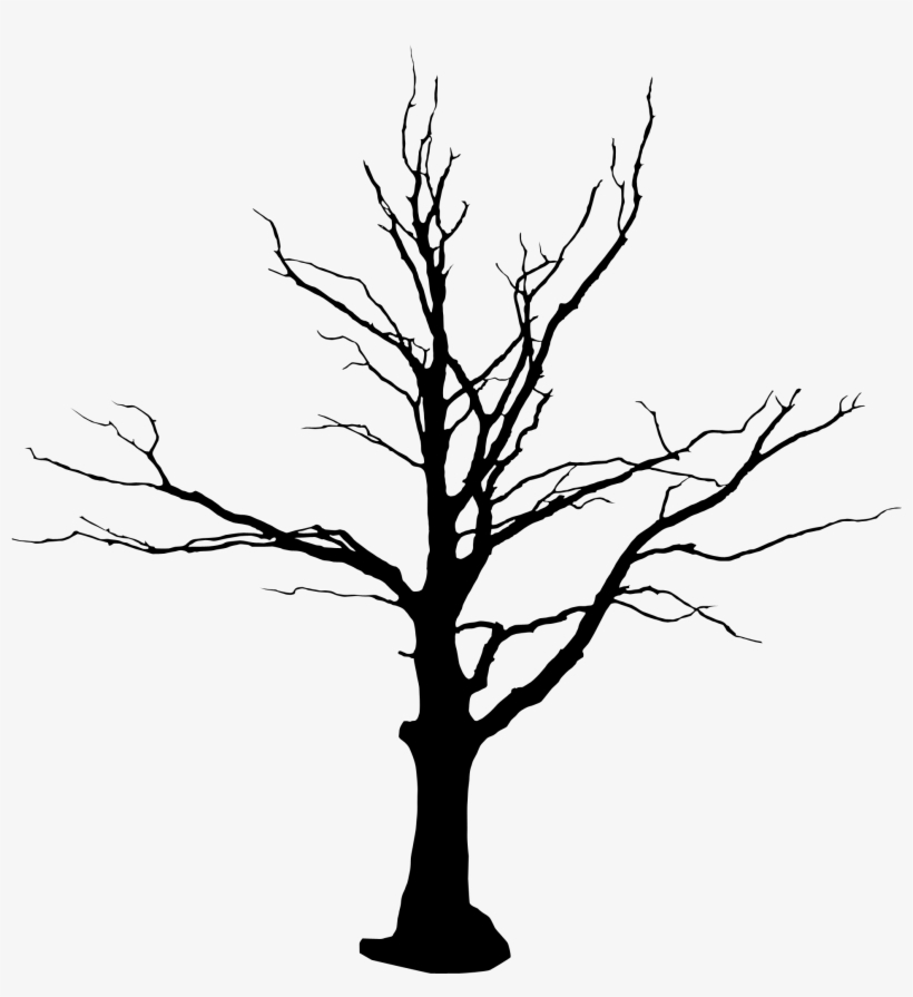 Tree Black And White Drawing | Free download on ClipArtMag