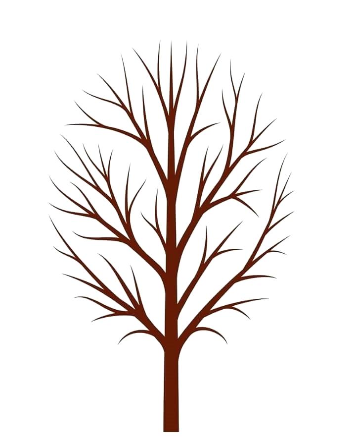 tree-no-leaves-drawing-free-download-on-clipartmag