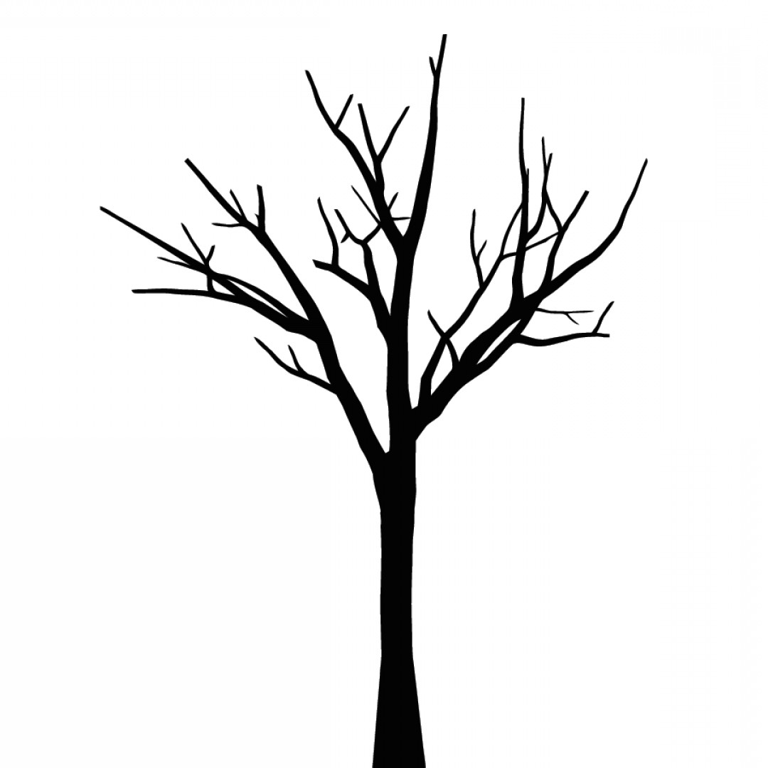 40+ Best Collections Black Tree Without Leaves Drawing