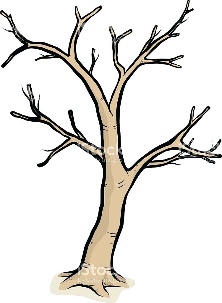 Tree Trunk Drawing | Free download on ClipArtMag