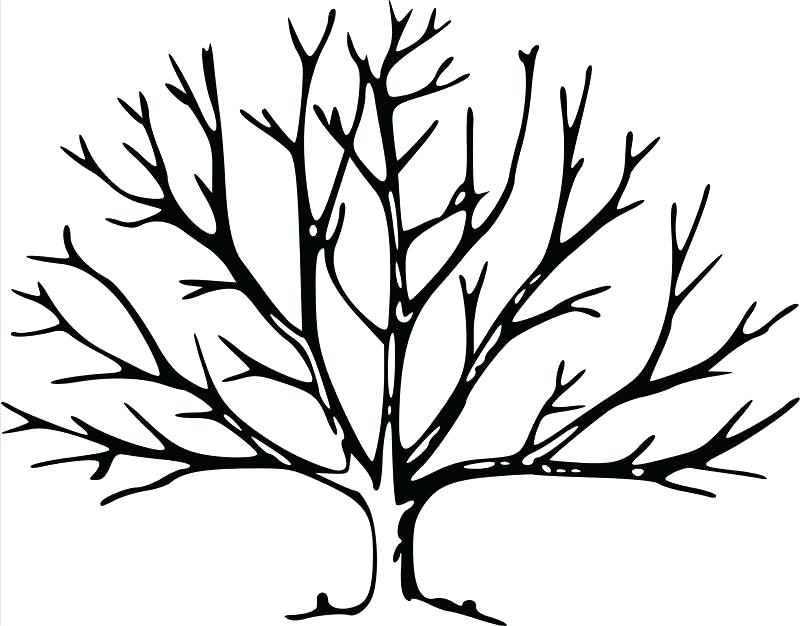 printable-tree-without-leaves