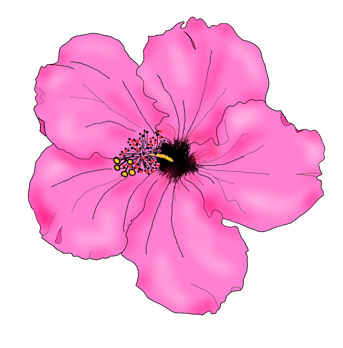 Tropical Flower Drawing | Free download on ClipArtMag