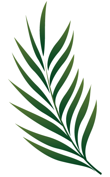 Tropical Leaves Drawing | Free download on ClipArtMag