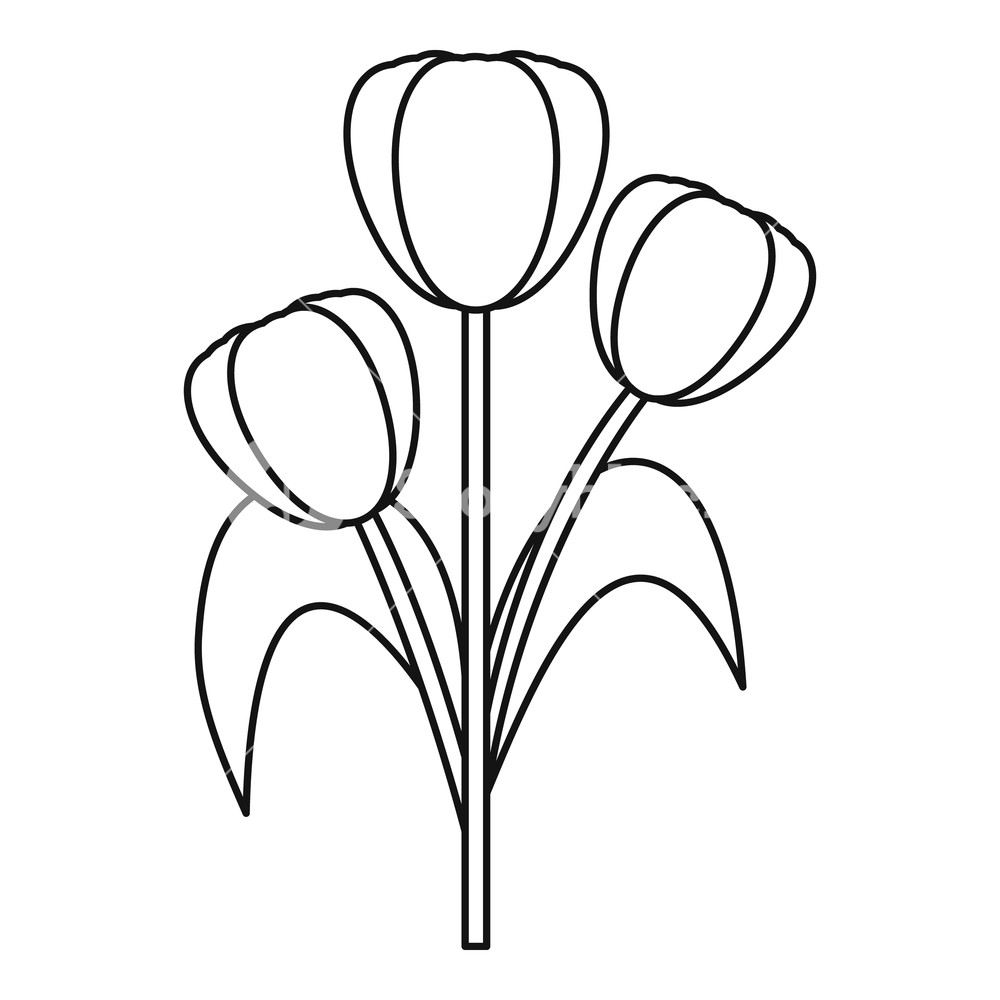 tulip-outline-drawing-free-download-on-clipartmag