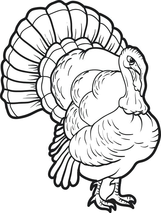 Turkey Head Drawing | Free download on ClipArtMag
