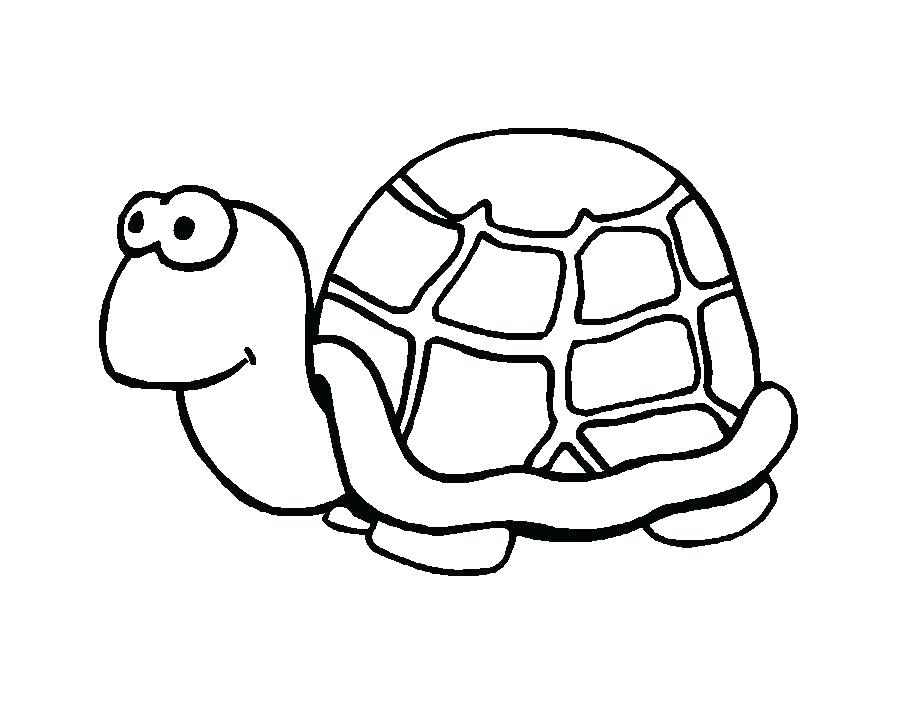 Turtle Drawing Easy 