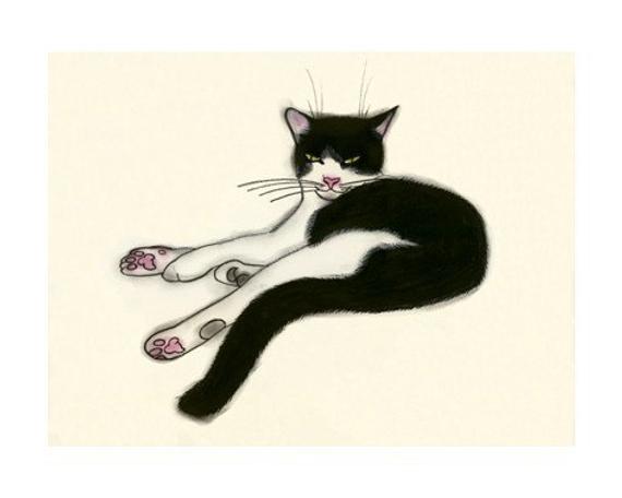 Tuxedo Cat Drawing | Free download on ClipArtMag