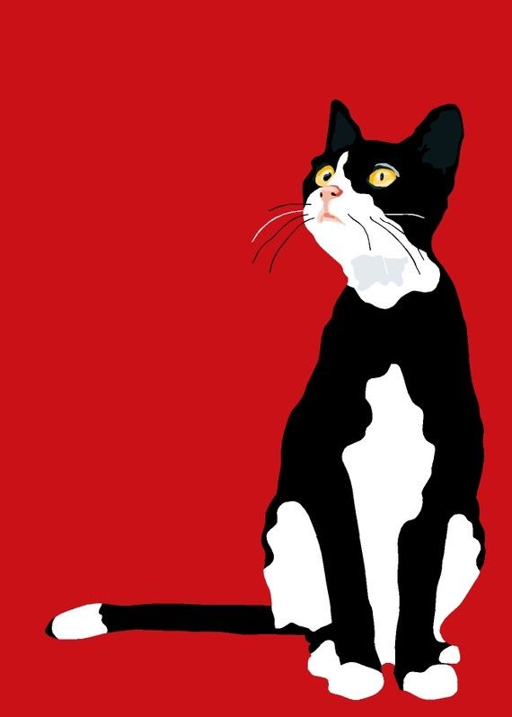 Tuxedo Cat Drawing Free download on ClipArtMag