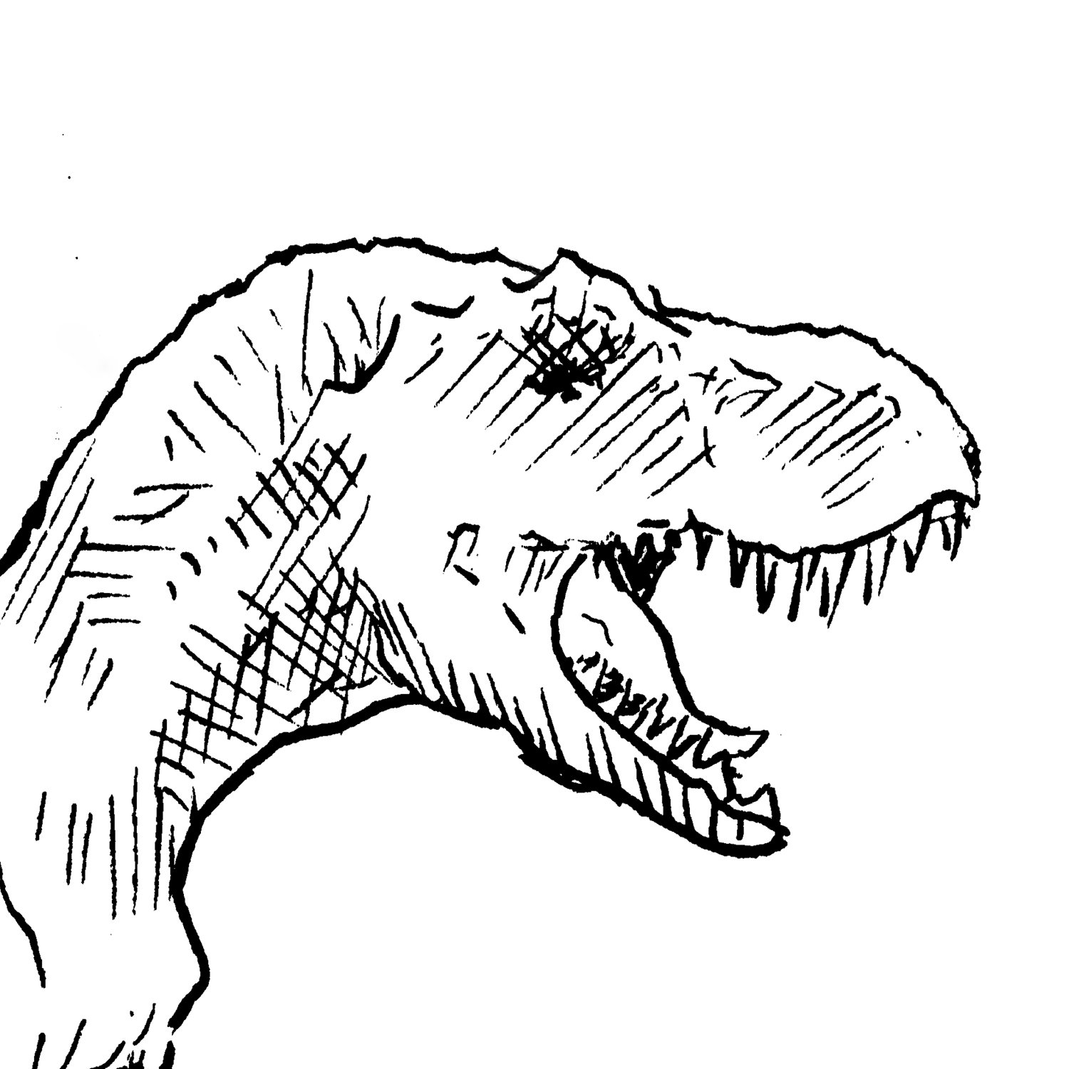 Tyrannosaurus Rex Dino Ausmalbilder - Malvorlagen