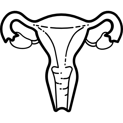 Collection of Uterus clipart | Free download best Uterus clipart on