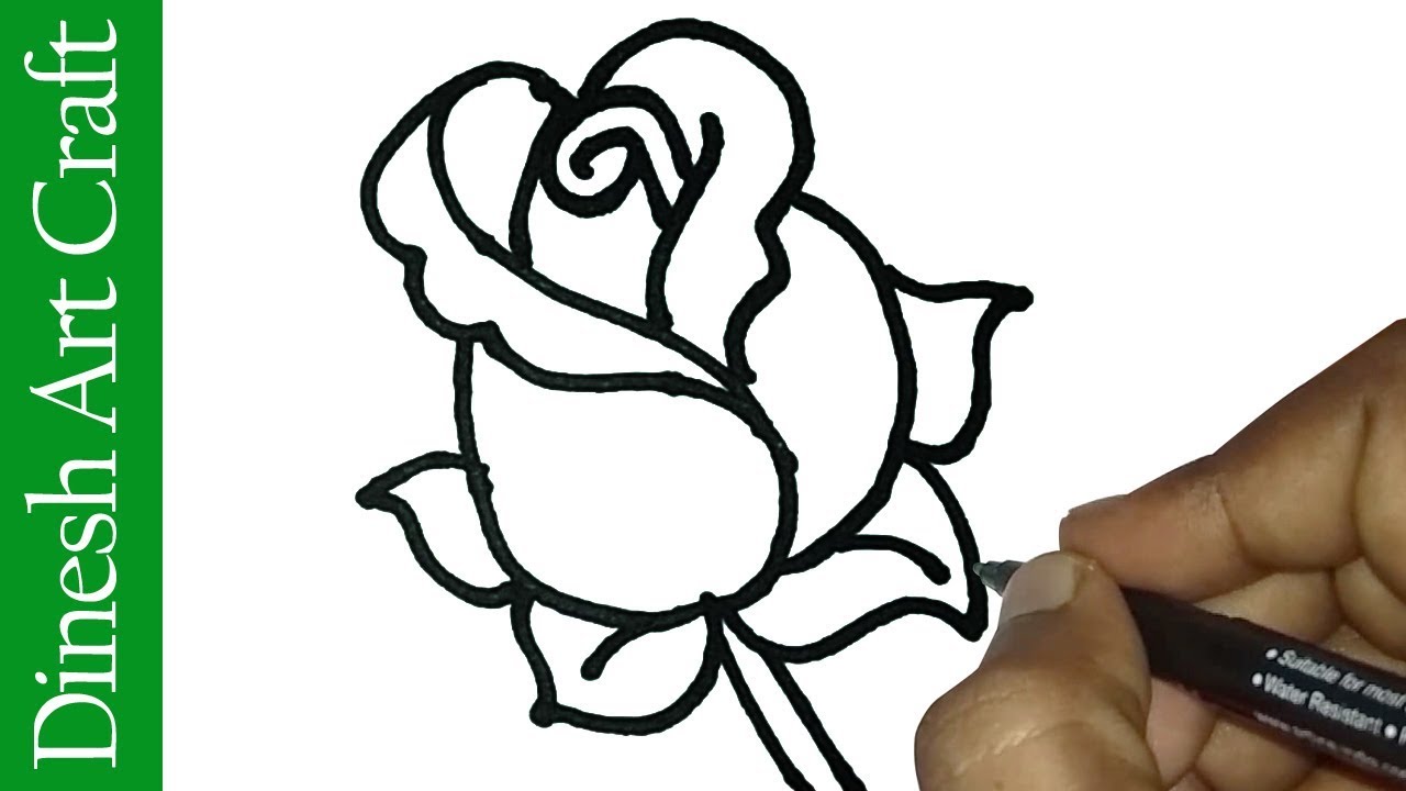 Simple Draw Rose Valentines Day Sketch Charcoal Easy 