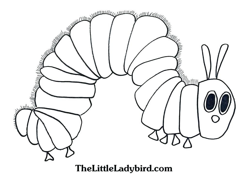 very-hungry-caterpillar-coloring-page-cool-photography-the-very-hungry