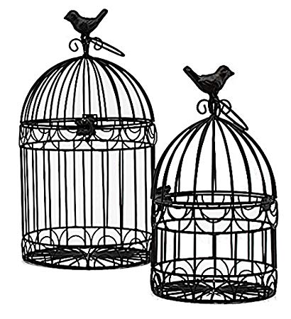 Vintage Bird Cage Drawing Free Download On Clipartmag